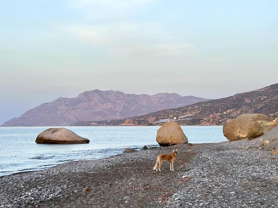 Kastri Seaside Splendour! דירה הרקליון